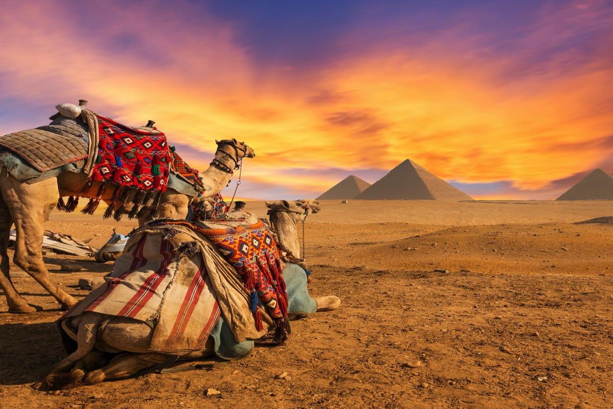 Treasures and Beaches - 20